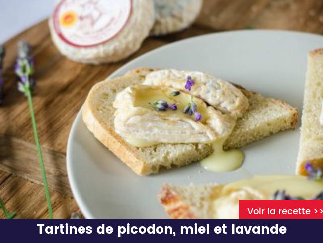 Tartines de picodon, miel et lavande